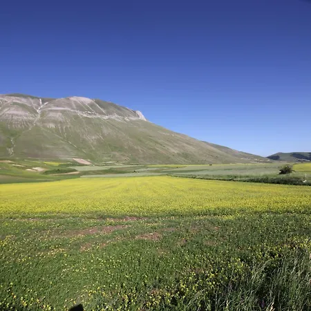 Il Rustico Di 別荘 Meggiano