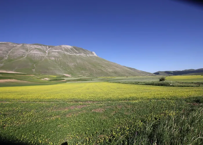 Il Rustico Di Holiday home Meggiano